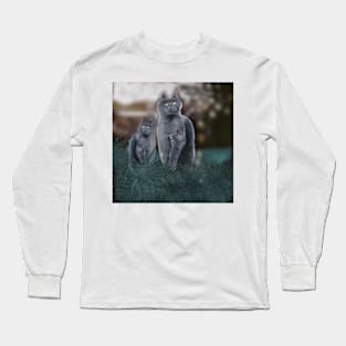 Persians at dusk Long Sleeve T-Shirt